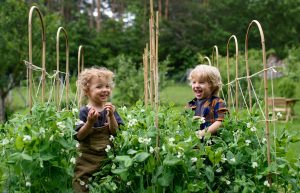 How to Garden with Children